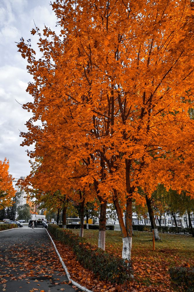 Фотография автора ЕКАТЕРИНА ЗЕМЛЯКОВА
