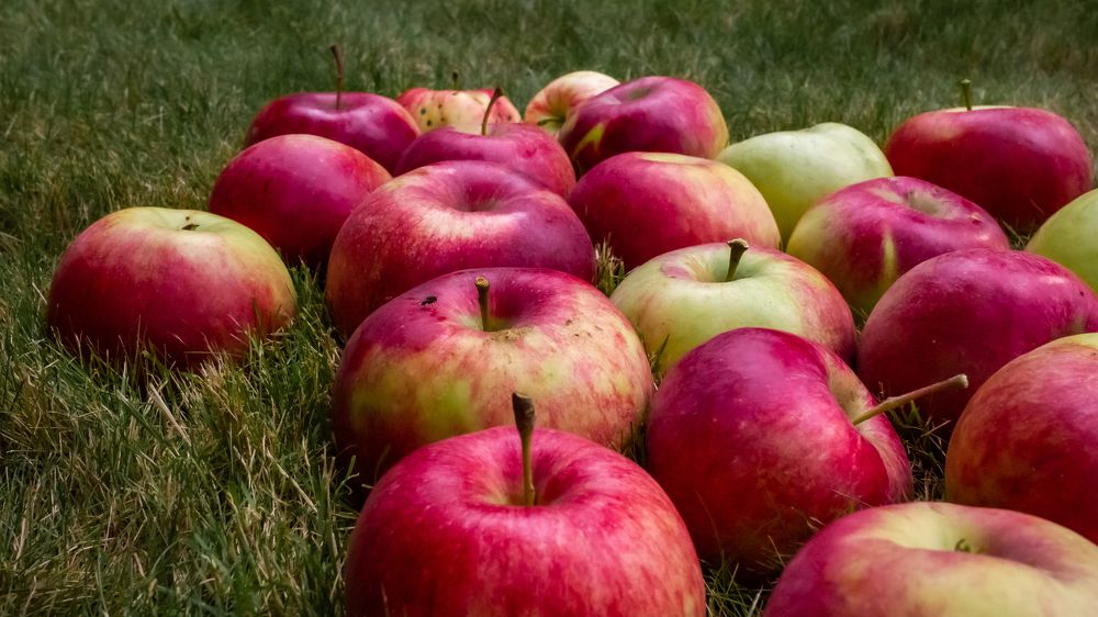 Photograph by Мелихов Вадим