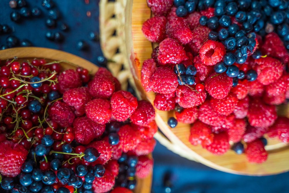 Фотография автора Василиса Новикова