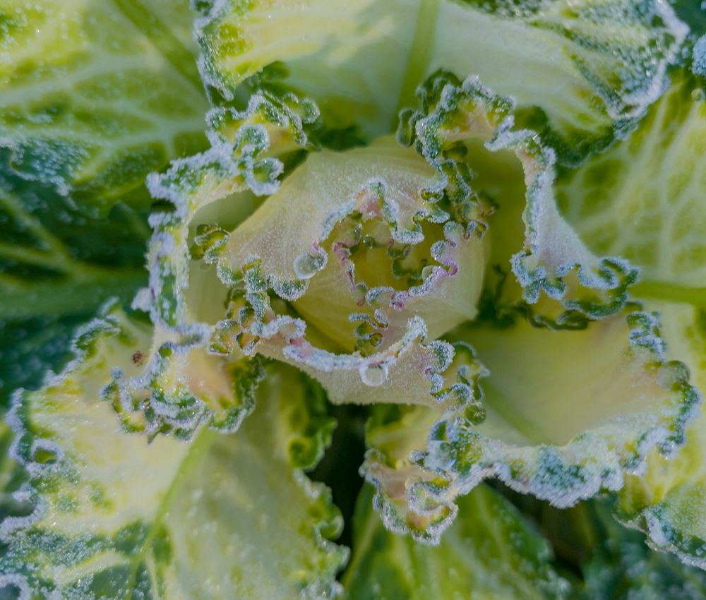 Фотография автора Александр Довганюк