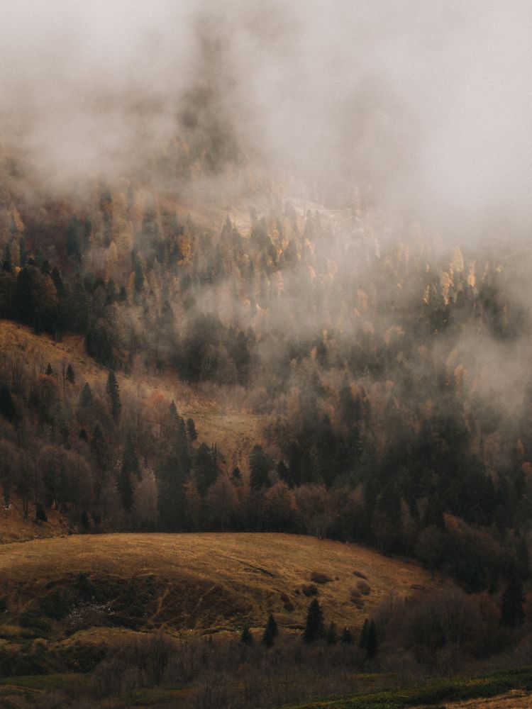 Photo #8253671