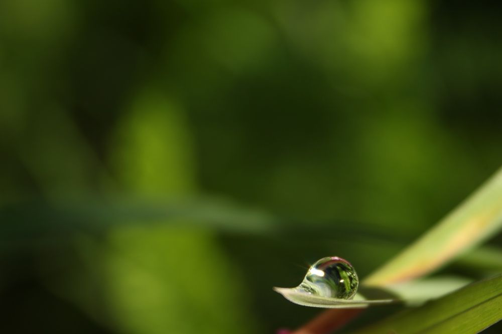 Photograph by Anna Grin