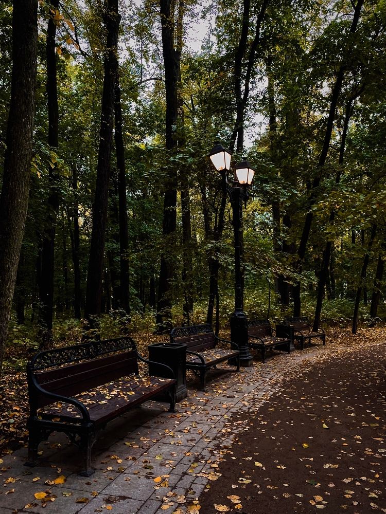 Краски осени