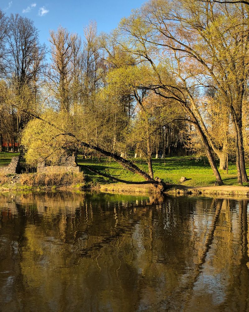 Photograph by Ульяна