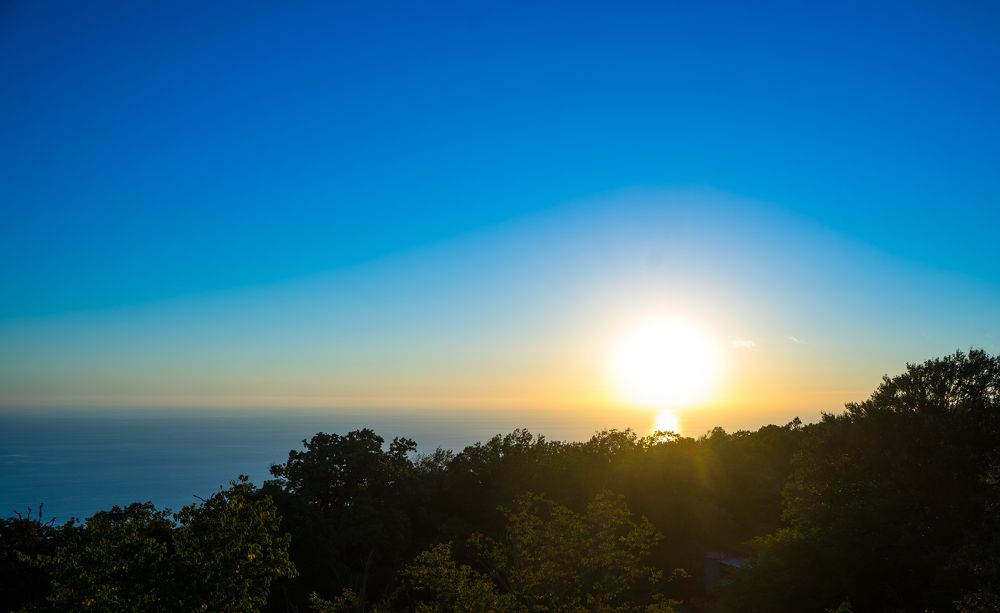 Фотография автора Василиса Новикова