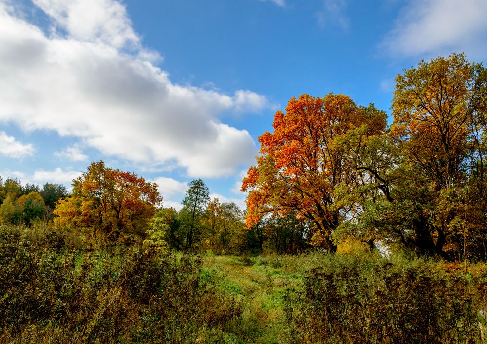 Photograph by Юрий Бичеров