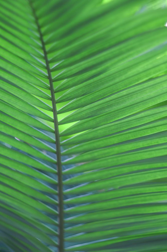 Photograph by Ксения Лаевская