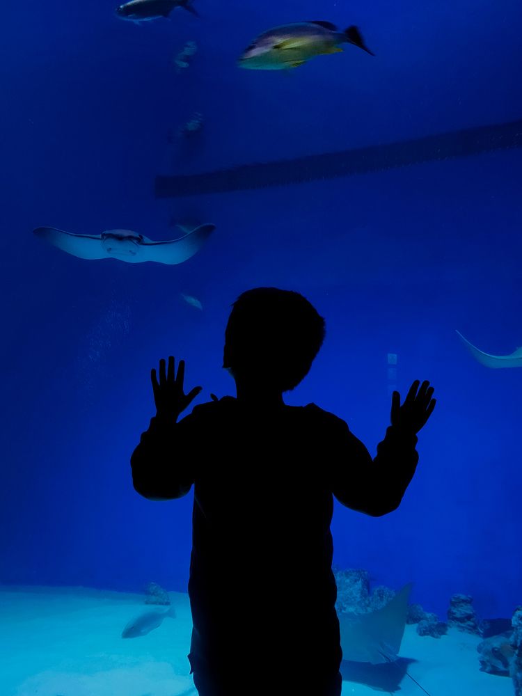 Photograph by Elena Novikova