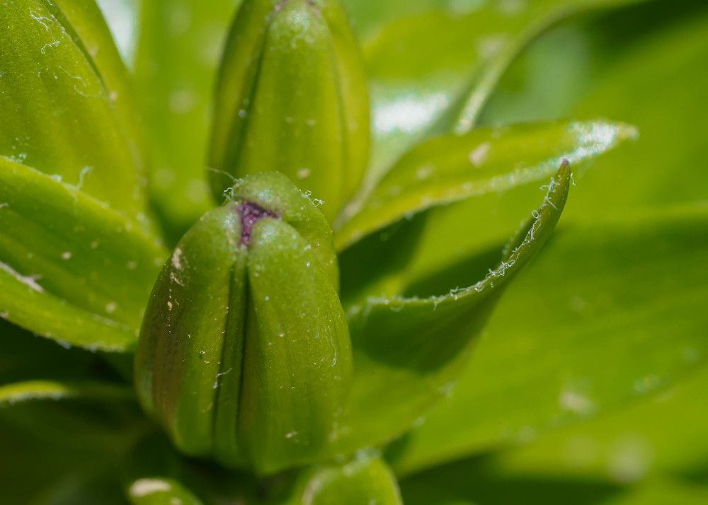 Photograph by Karina Elena Bergagna