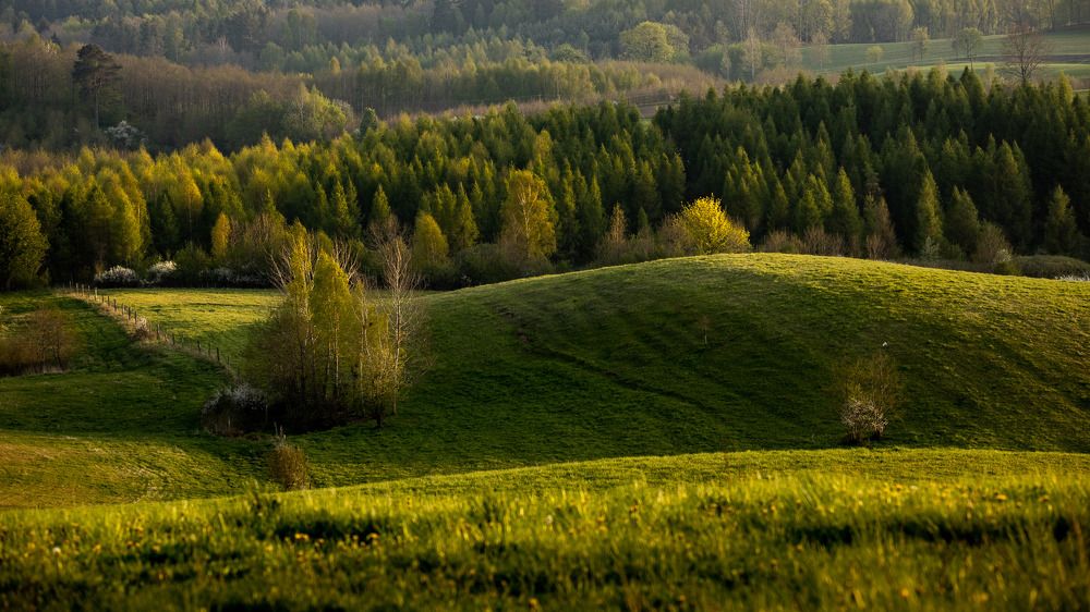 Photograph by Wiktor Kulesa