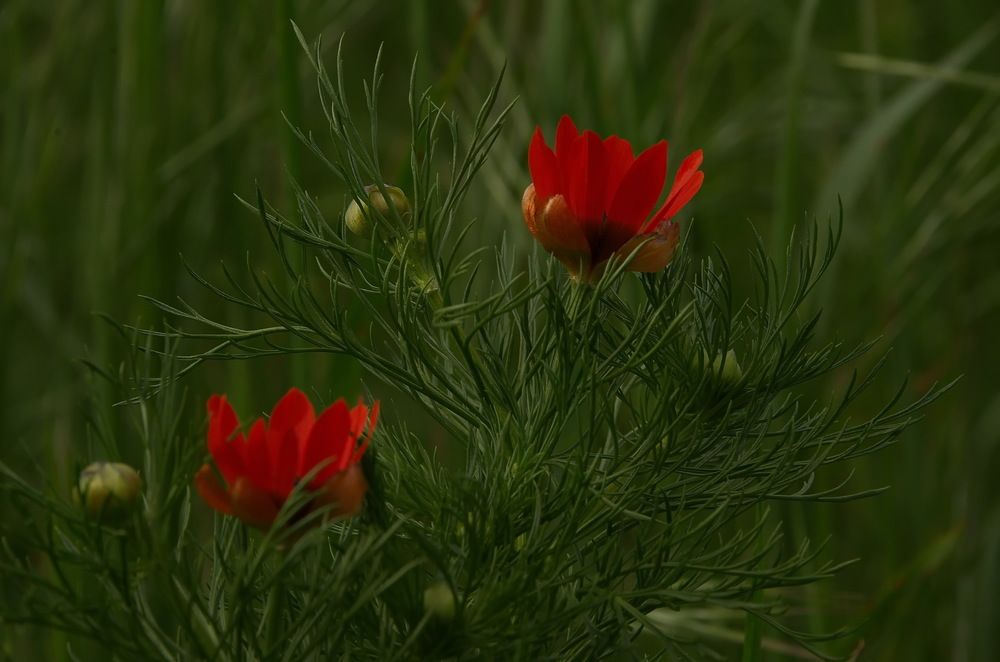 Photograph by Александр