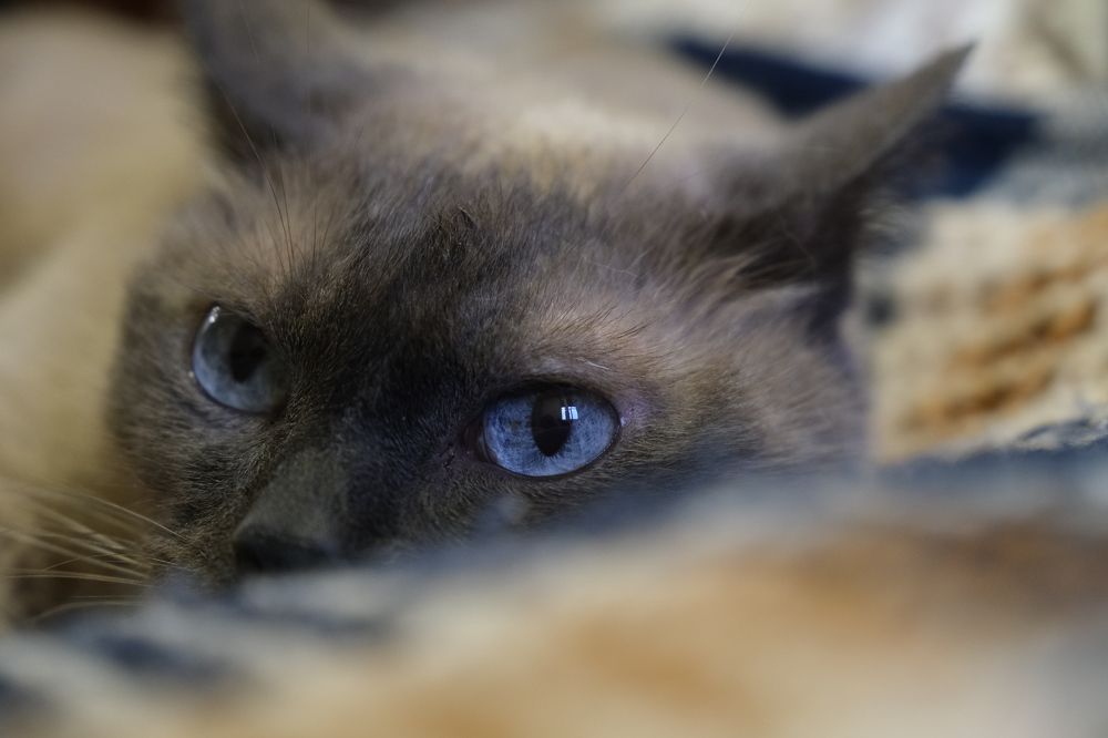 Photograph by Валерия Александровна