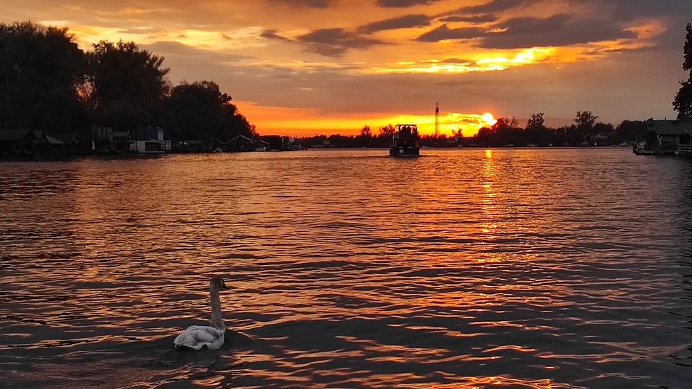 Photograph by Lidija Jevremovic