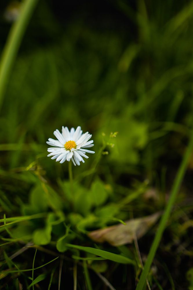 Photograph by Наталья Шорникова