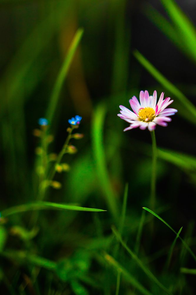 Photograph by Наталья Шорникова