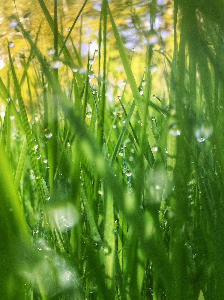 Photograph by Алена Шаргина