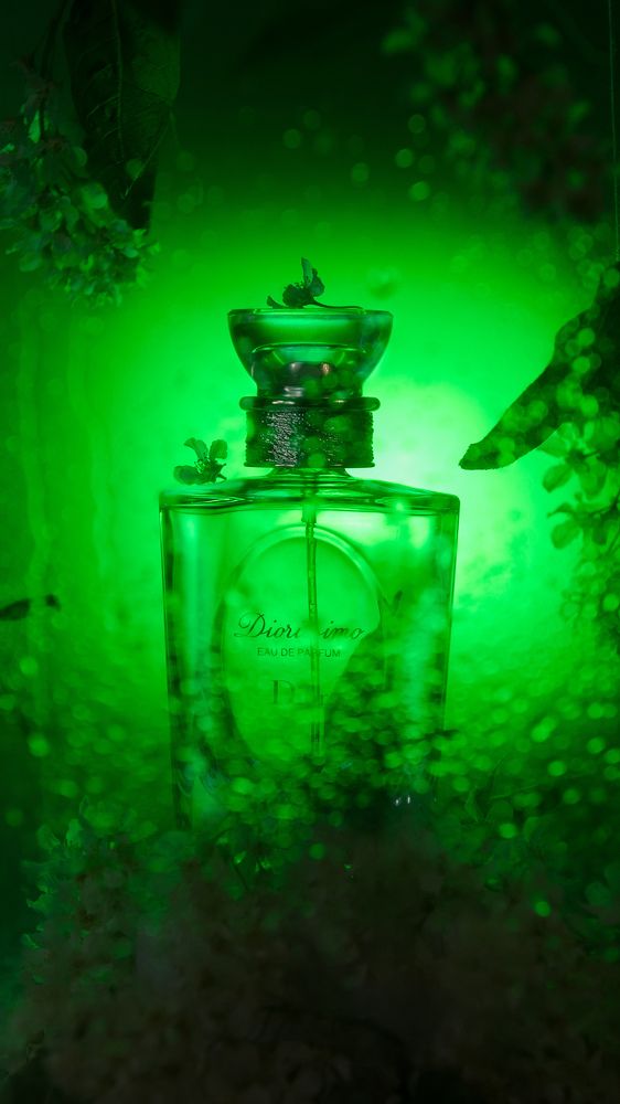 Photograph by Сафронова Любовь