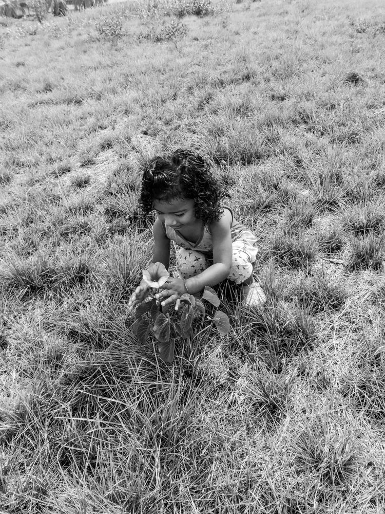 Photograph by Patrícia Helena