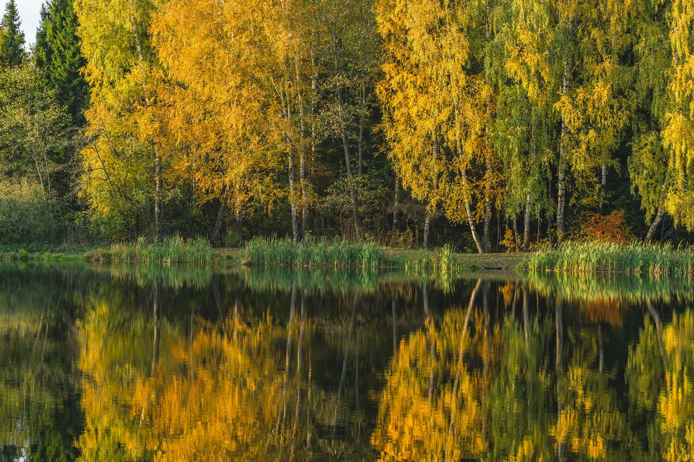 Photograph by Галина Искандарова