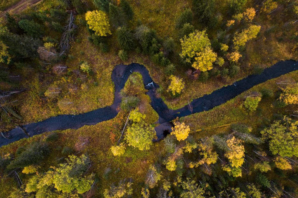 Photograph by Тезиков Сергей