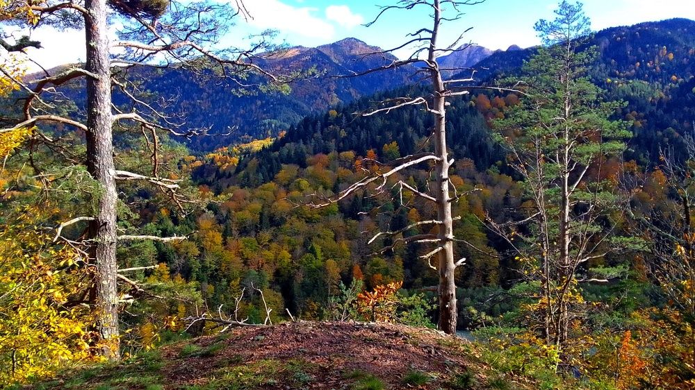 Photograph by Сергей Смоленцев