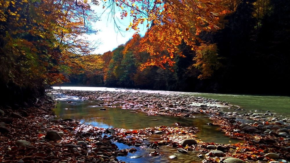 Photograph by Сергей Смоленцев