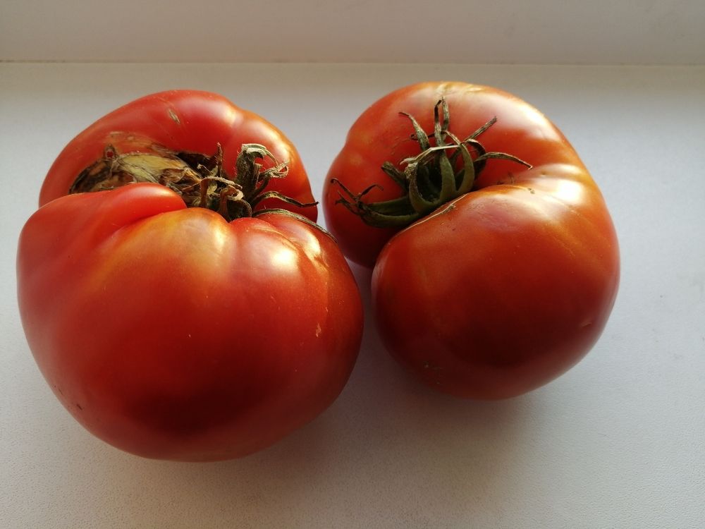 Фотография автора Татьяна Савранчук