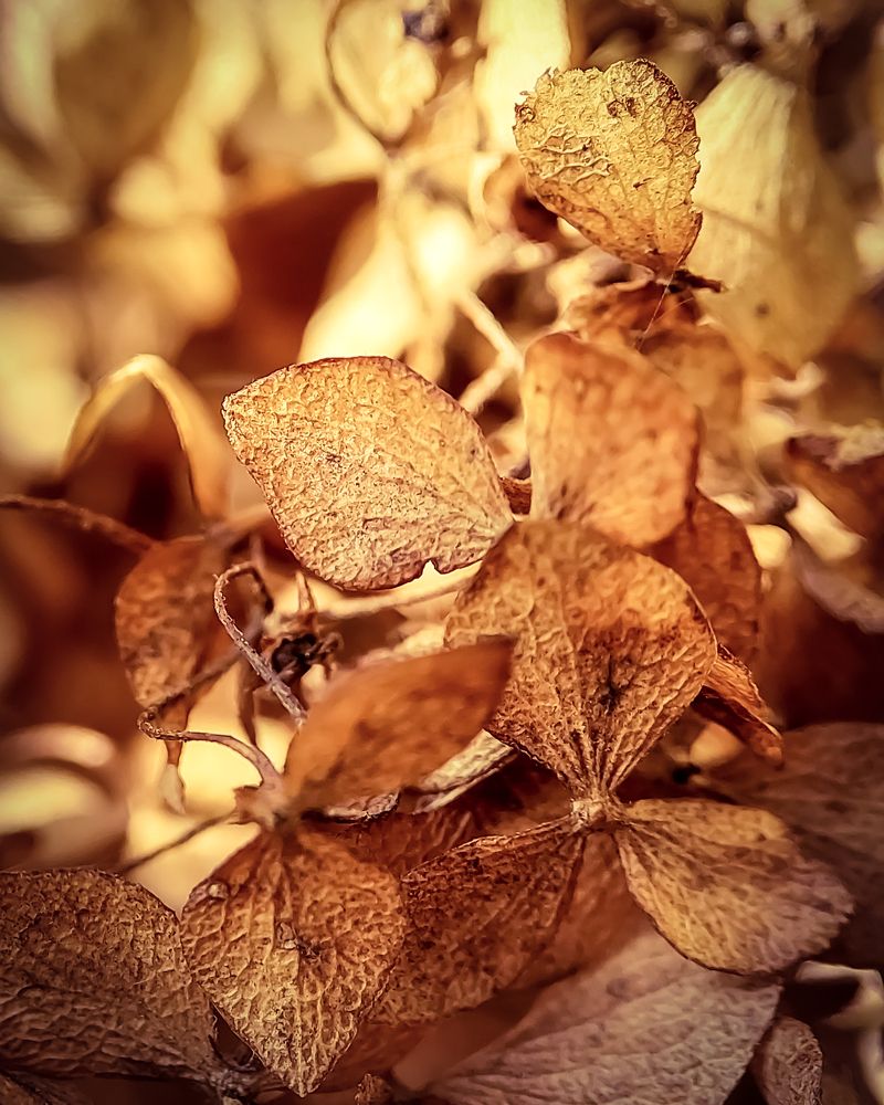 Photograph by Iryna Krotova