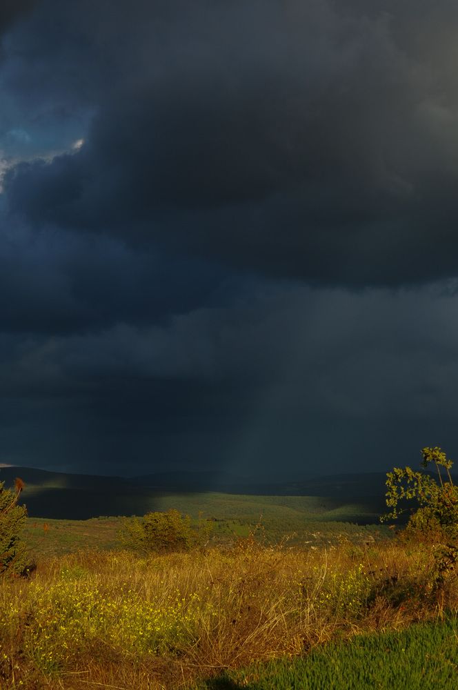 Photograph by Oseeva Elizaveta