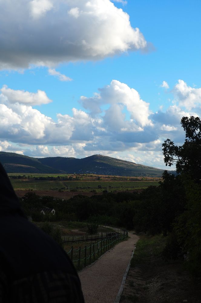 Photograph by Oseeva Elizaveta