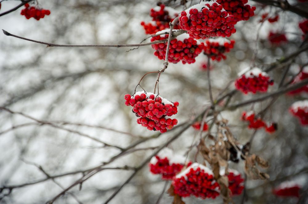 Фотография автора Войнов Дмитрий