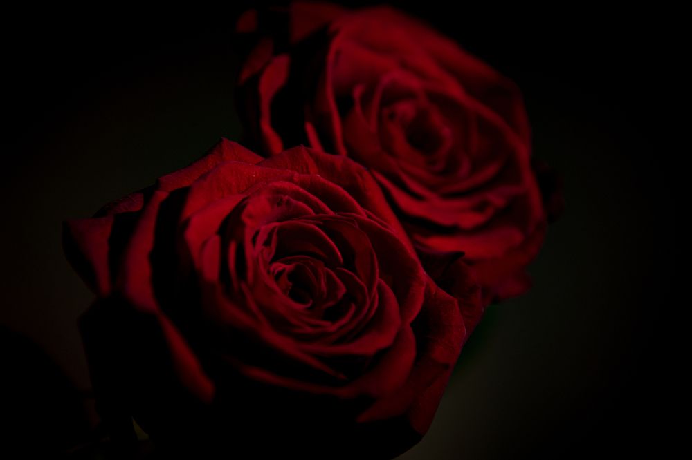 Фотография автора Войнов Дмитрий