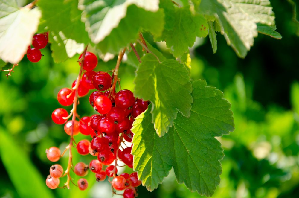 Фотография автора Войнов Дмитрий