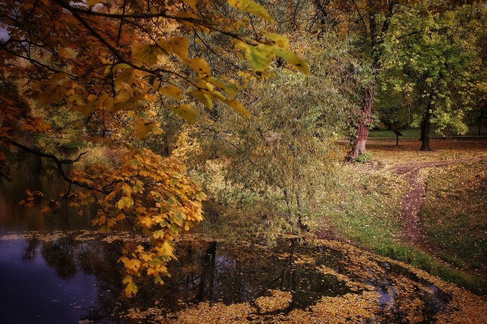 Photograph by Наталья Сафронова