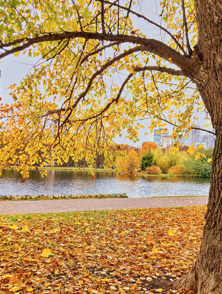 Photograph by Алла Творогова