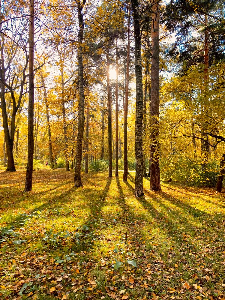 Photograph by Алла Творогова