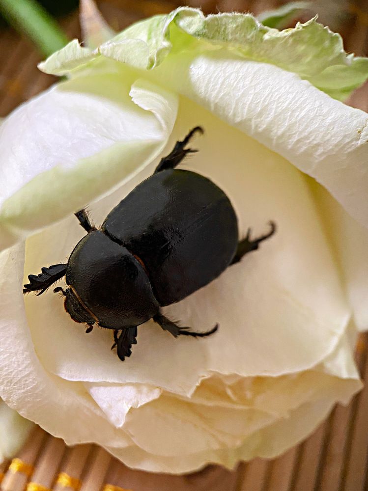 Photograph by Александра Гонтарь