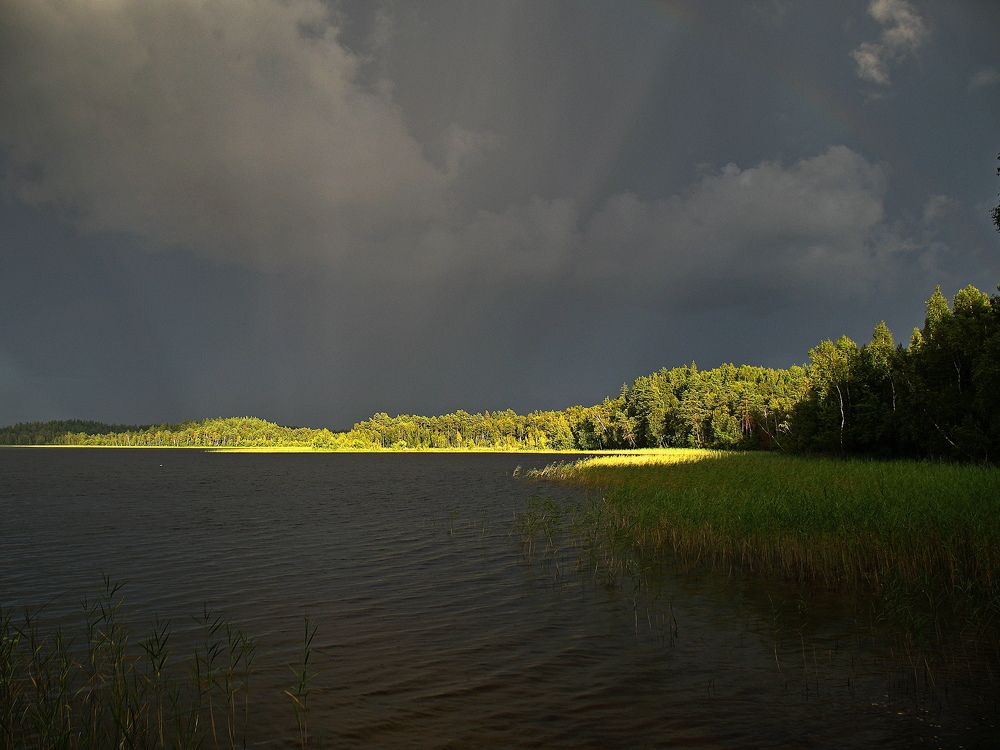 Photograph by Андрей Москалев