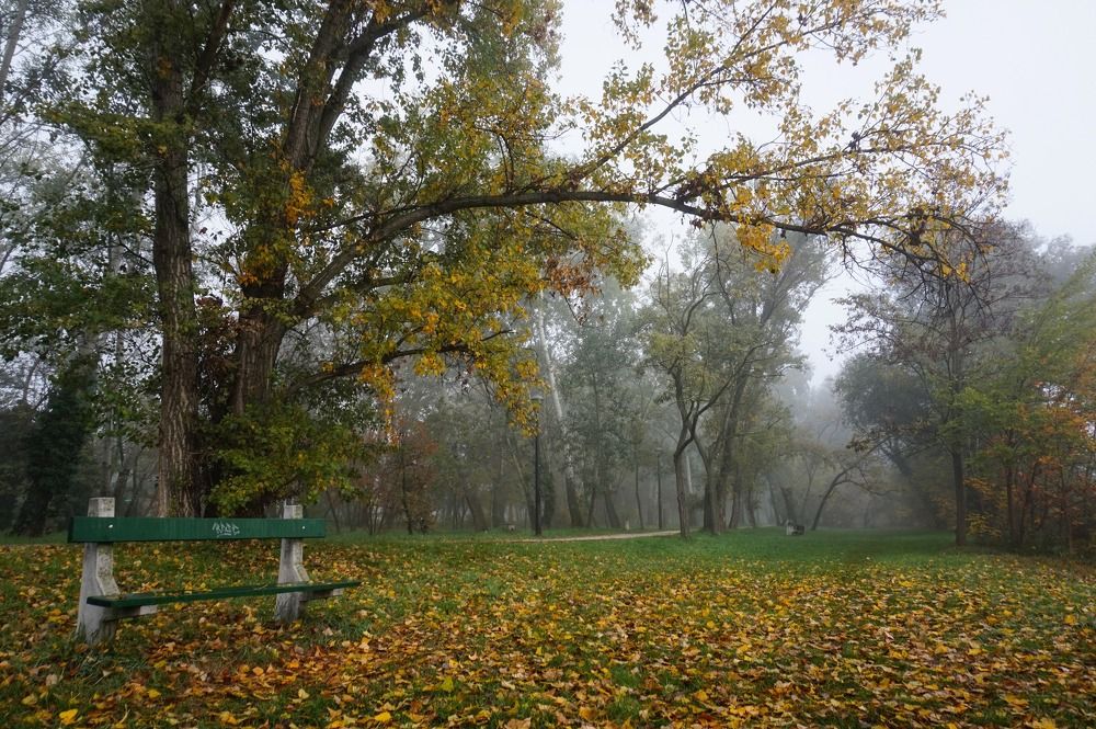 Photograph by SAID SERBOUTI