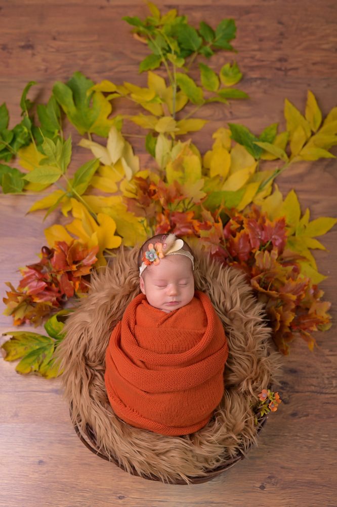 Фотография автора Katerina Zlateva