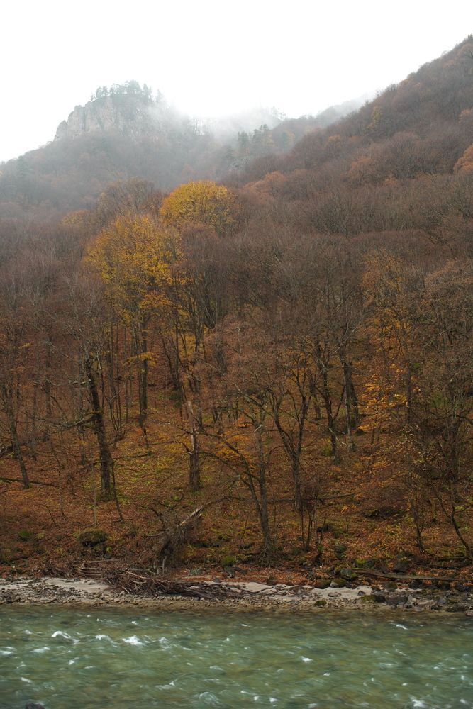 Фотография автора Медведев Сергей