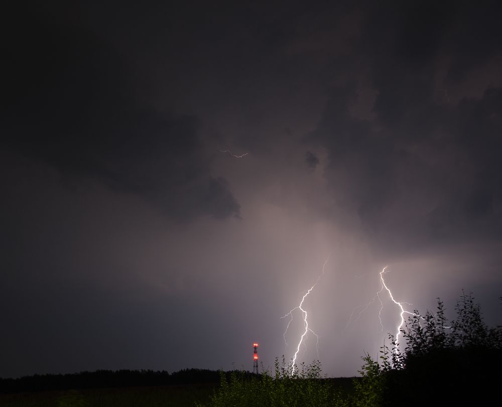 Photograph by Николай Алексеев