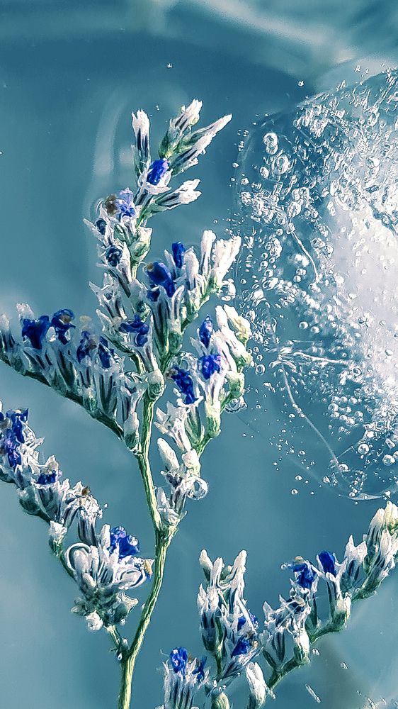 Photograph by Галина Новикова