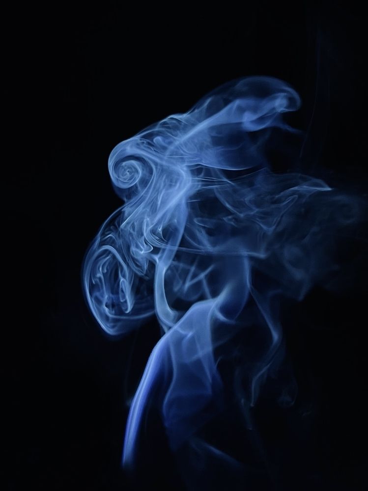 Фотография автора Александра Евченко