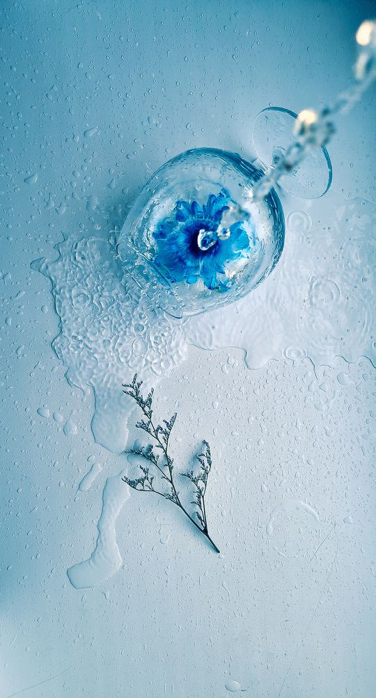 Photograph by Галина Новикова