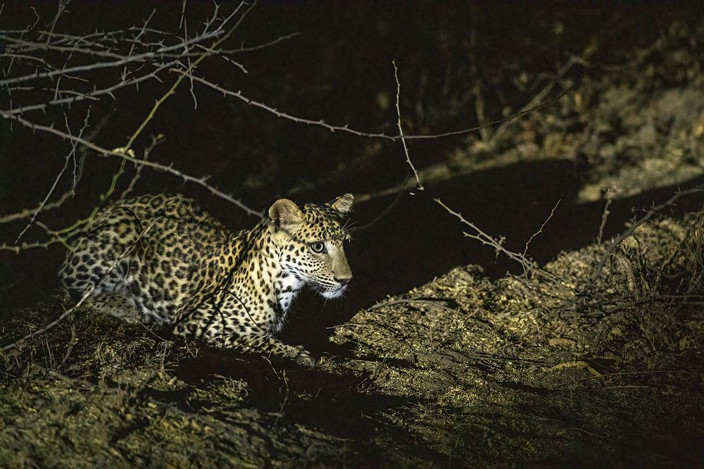 Photograph by Mukesh Acharya