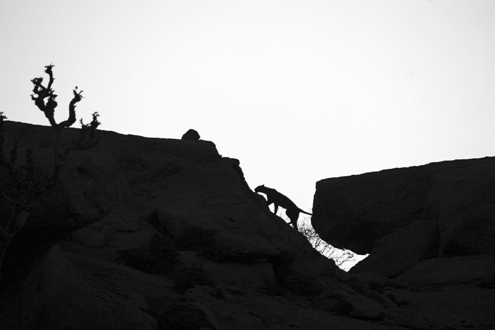 Photograph by Mukesh Acharya