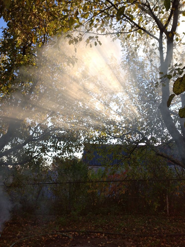 Photograph by Елена Коробченко