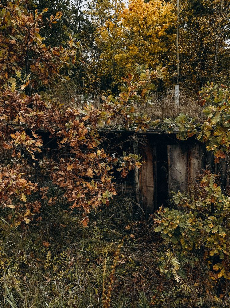 Photograph by Анна Лутошина