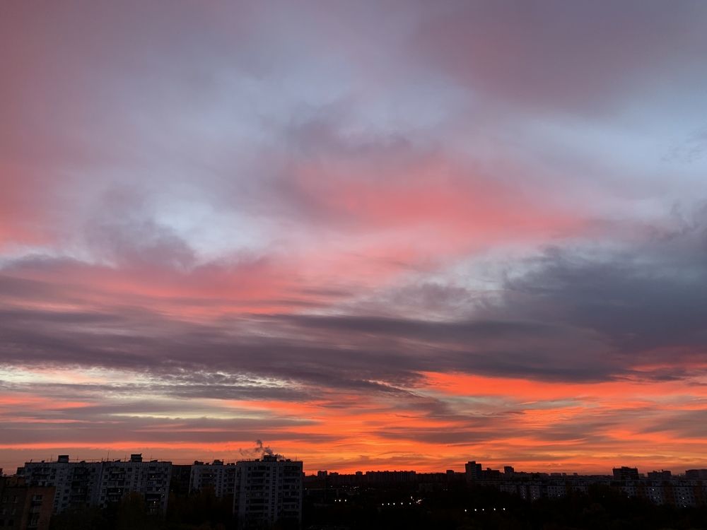 Photograph by Elena Lukashina